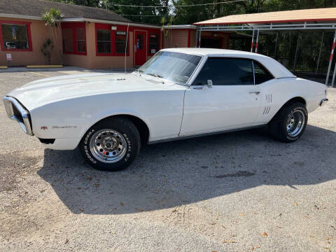 1968 Pontiac Firebird for sale at Auto Liquidators of Tampa in Tampa FL