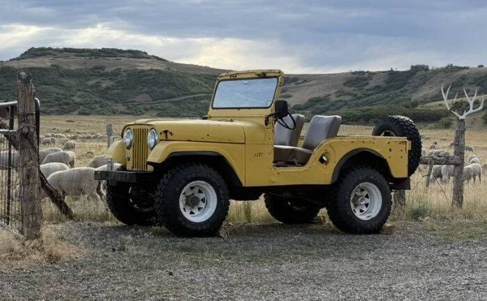 1951 Jeep CJ-5