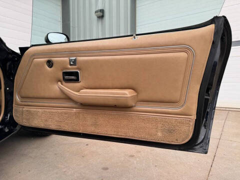 1981 Pontiac Firebird Trans Am