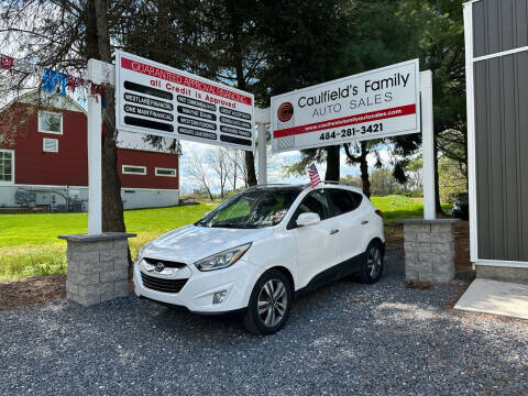 2015 Hyundai Tucson for sale at Caulfields Family Auto Sales in Bath PA
