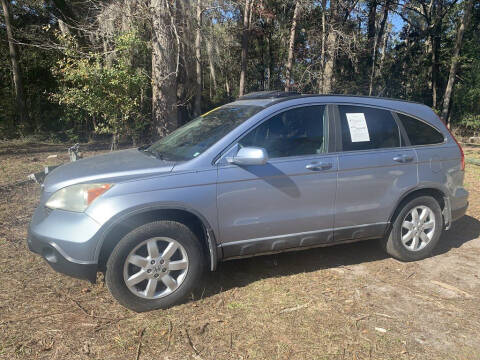 2009 Honda CR-V for sale at HWY 17 Auto Sales in Savannah GA