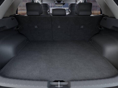 2025 Kia Niro EV Wind