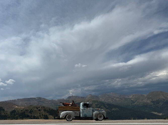 1953 Chevrolet 3100