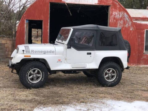 1991 Jeep Wrangler Renegade