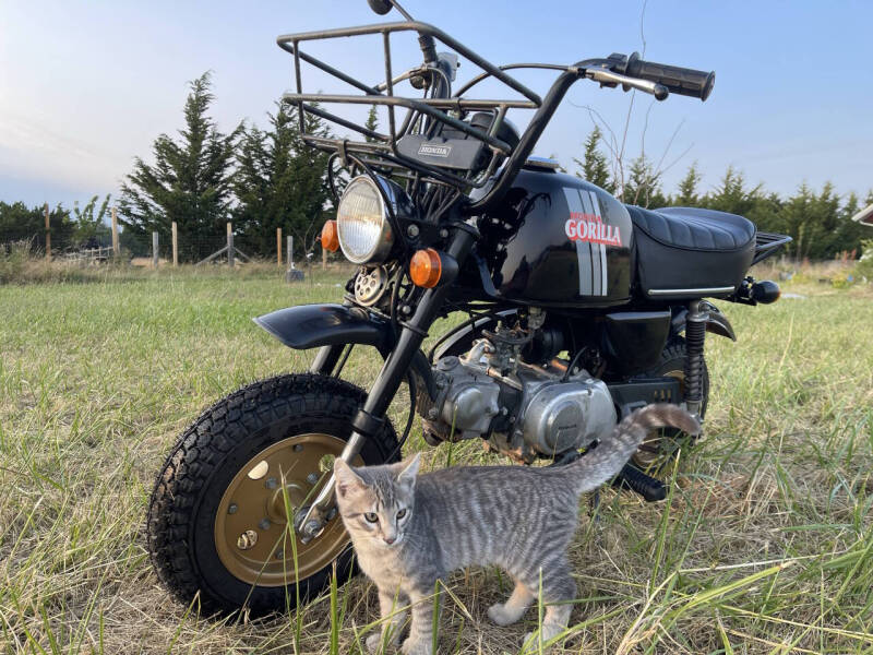1983 Honda Gorilla