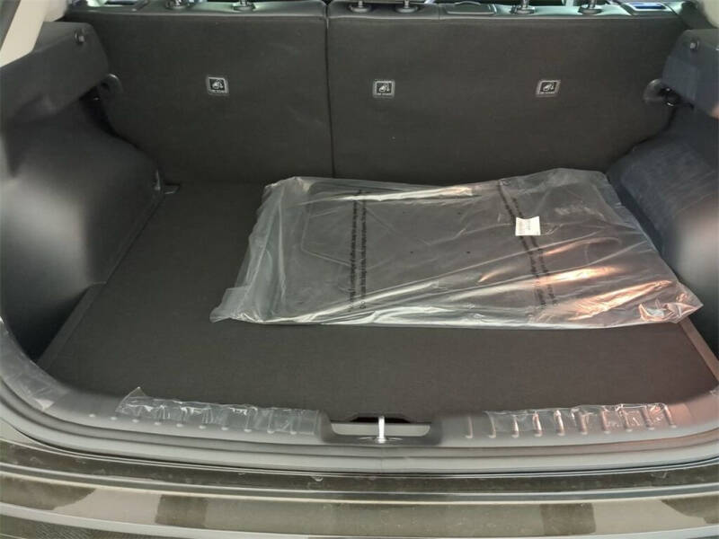 2023 Kia Niro EV Wind