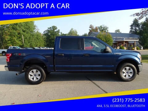 2020 Ford F-150 for sale at DON'S ADOPT A CAR in Cadillac MI