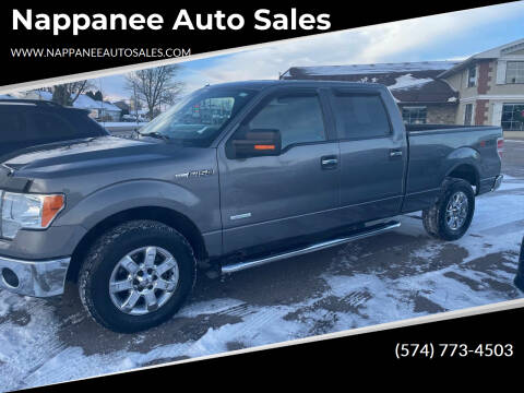 2014 Ford F-150 for sale at Nappanee Auto Sales in Nappanee IN