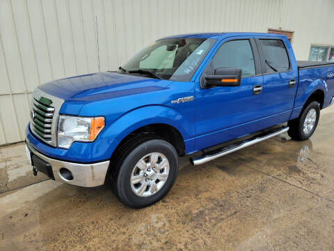 2012 Ford F-150 for sale at De Anda Auto Sales in Storm Lake IA