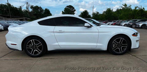 2019 Ford Mustang