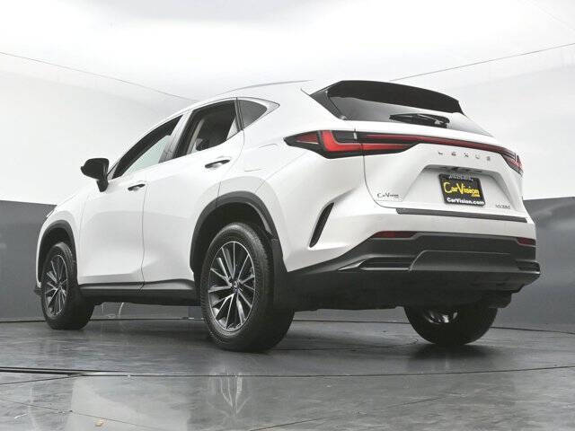 2025 Lexus NX 250