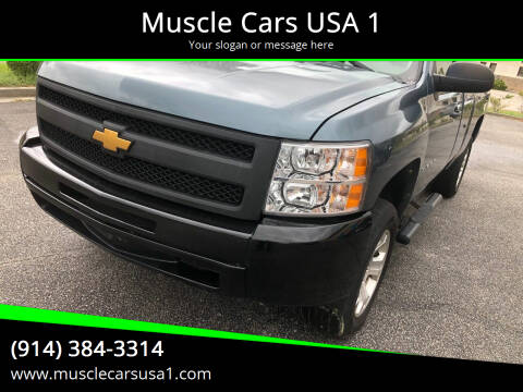 2010 Chevrolet Silverado 1500 for sale at MUSCLE CARS USA1 in Murrells Inlet SC