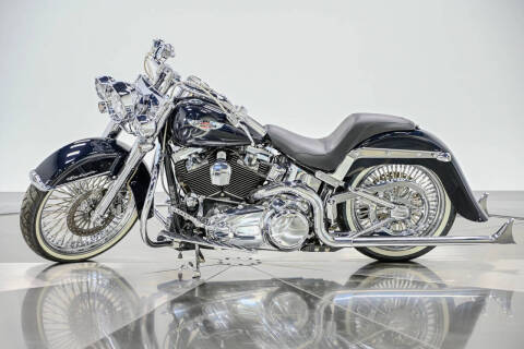 2009 Harley-Davidson FLTSN