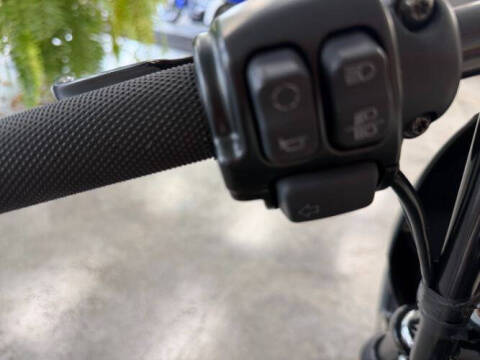 2018 Harley-Davidson 883 Iron