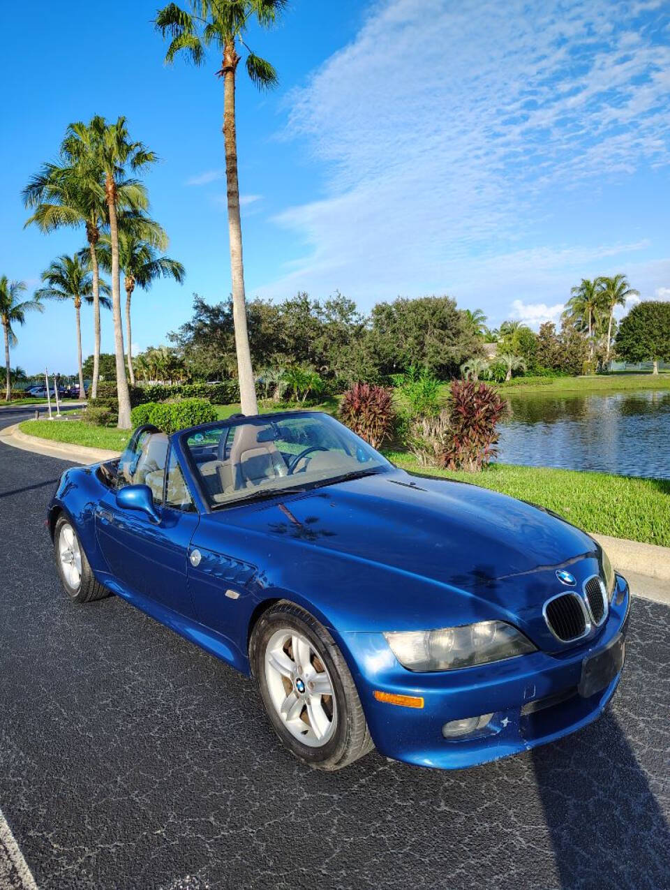 2001 BMW Z3 for sale at Amatrudi Motor Sports in Fort Pierce, FL