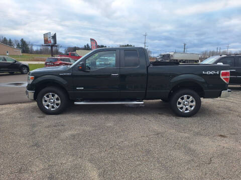 2014 Ford F-150 for sale at Steve Winnie Auto Sales in Edmore MI