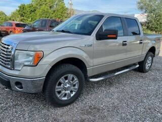 2010 Ford F-150 for sale at Salmon Motor Carriage in Salmon ID