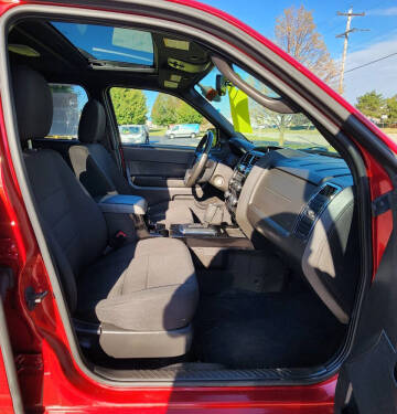 2010 Ford Escape XLT
