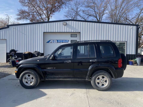 2002 Jeep Liberty for sale at A & B AUTO SALES in Chillicothe MO