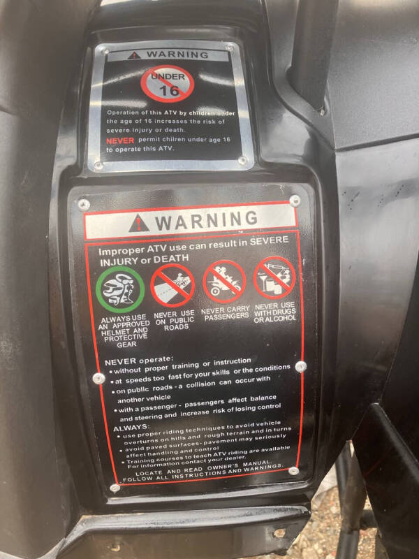 2016 Tao Tao Rhino 250