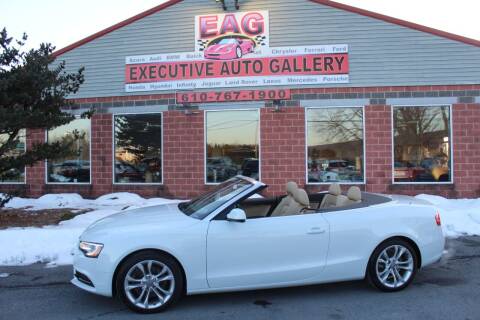 2014 Audi A5 for sale at EXECUTIVE AUTO GALLERY INC in Walnutport PA