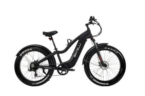 2025 Bintelli Tremor