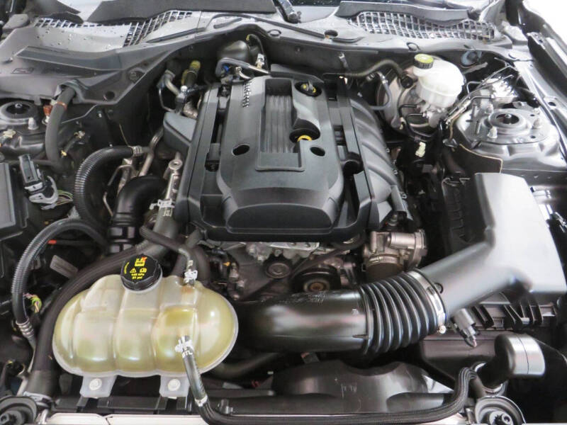 2019 Ford Mustang EcoBoost