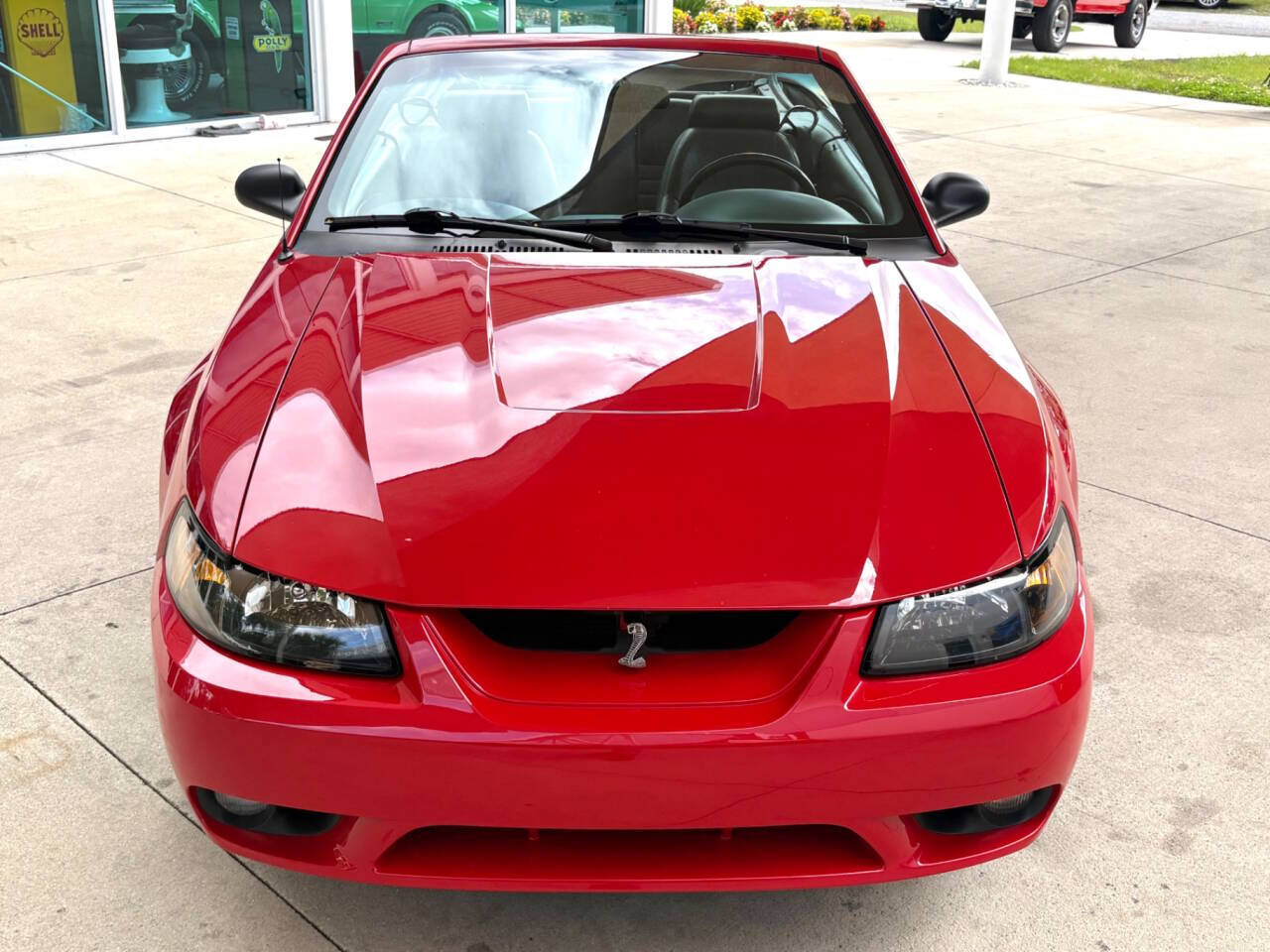 1999 Ford Mustang SVT Cobra 3