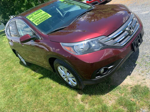 2013 Honda CR-V for sale at Ricart Auto Sales LLC in Myerstown PA
