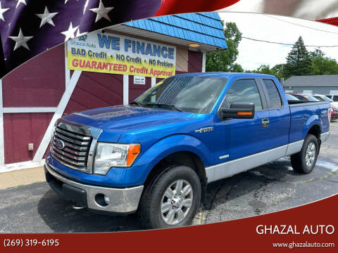 2011 Ford F-150 for sale at Ghazal Auto in Springfield MI
