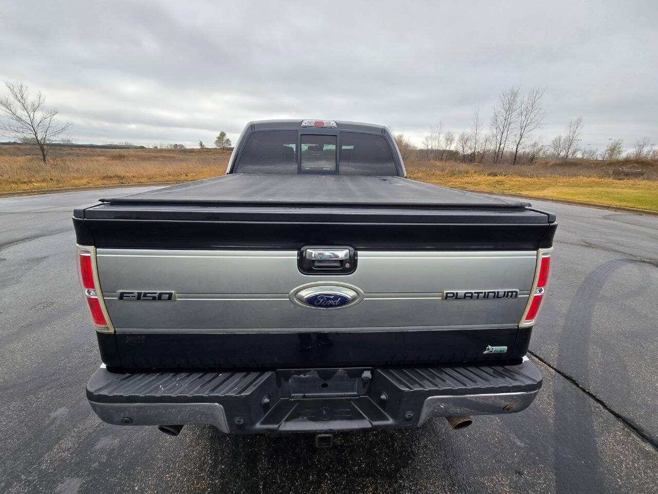 2010 Ford F-150 for sale at Dedicated Auto Sales Inc in Elk River, MN