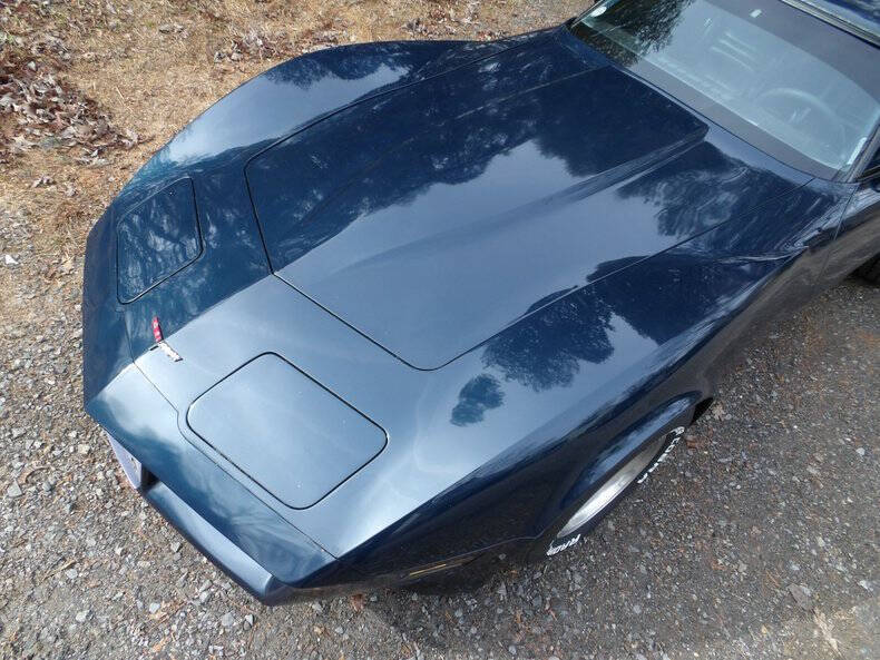 1981 Chevrolet Corvette