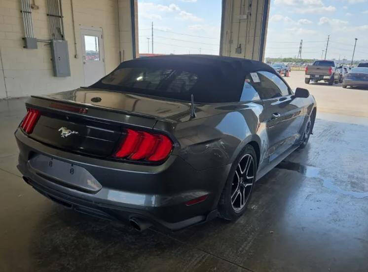 2019 Ford Mustang EcoBoost