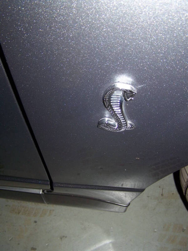 2003 Ford Mustang SVT Cobra