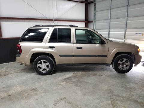 2004 Chevrolet TrailBlazer for sale at APPROVAL AUTO SALES in Mansfield TX