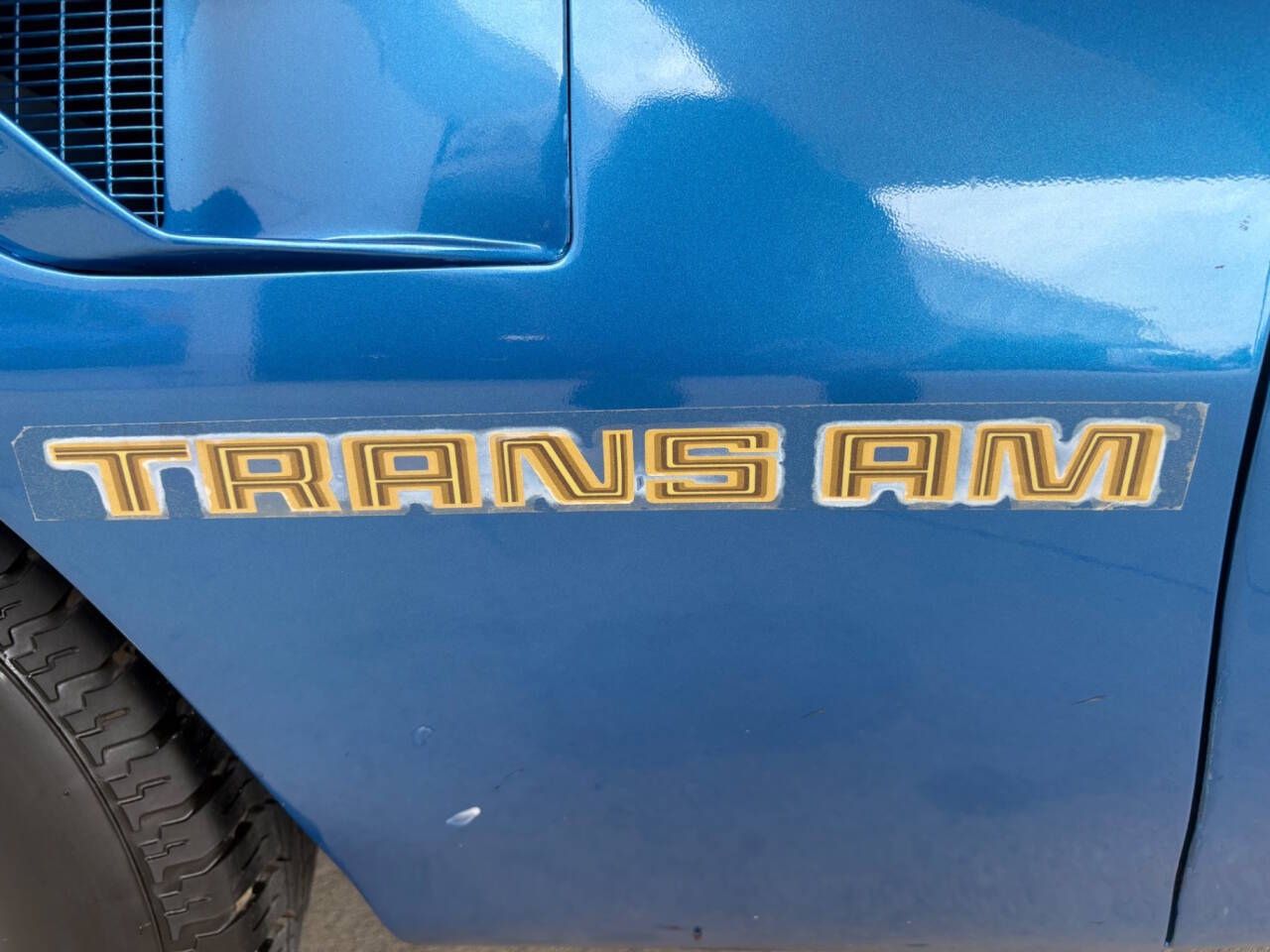 1979 Pontiac Firebird 22