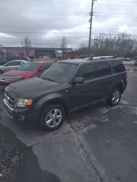 2008 Ford Escape for sale at D and D All American Financing in Warren MI