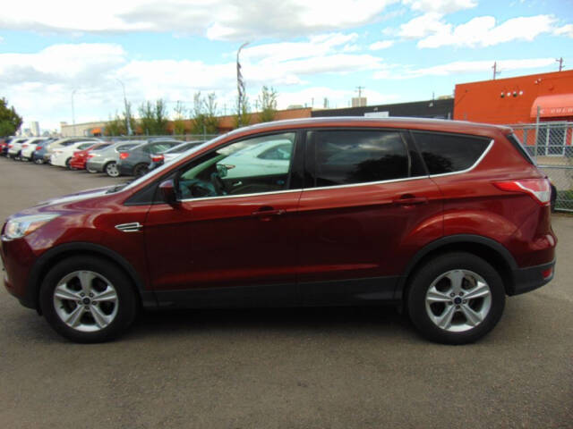 2014 Ford Escape for sale at Avalanche Auto Sales in Denver, CO