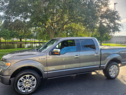 2014 Ford F-150 for sale at Amazing Deals Auto Inc in Land O Lakes FL