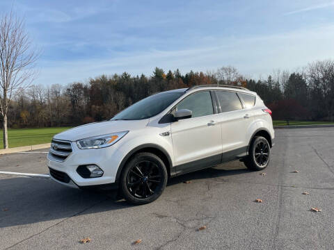 2019 Ford Escape for sale at Great Lakes Classic Cars LLC in Hilton NY