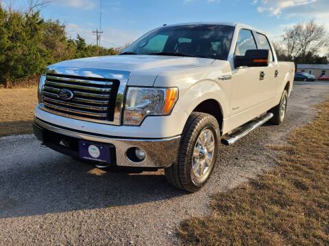 2011 Ford F-150 for sale at The Car Shed in Burleson TX
