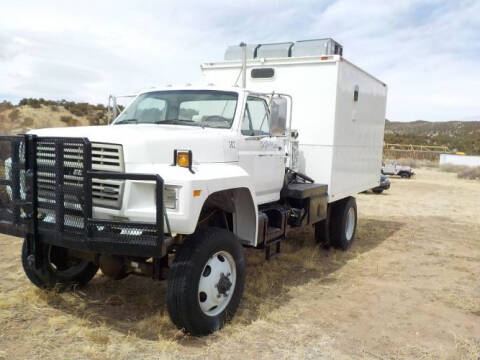 1983 Ford F-700 for sale at Classic Car Deals in Cadillac MI