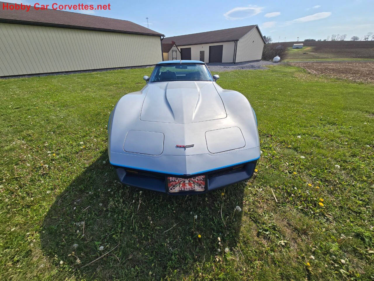 1981 Chevrolet Corvette 9