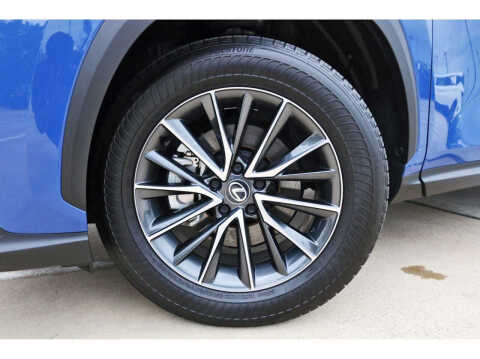 2025 Lexus NX 250 Premium