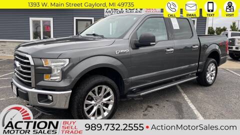 2016 Ford F-150 for sale at Action Motor Sales in Gaylord MI