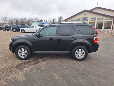 2012 Ford Escape for sale at Steve Winnie Auto Sales in Edmore MI