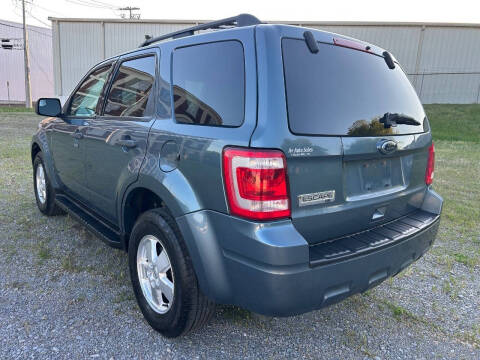 2011 Ford Escape XLT