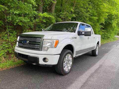 2009 Ford F-150 for sale at Lenoir Auto in Lenoir NC