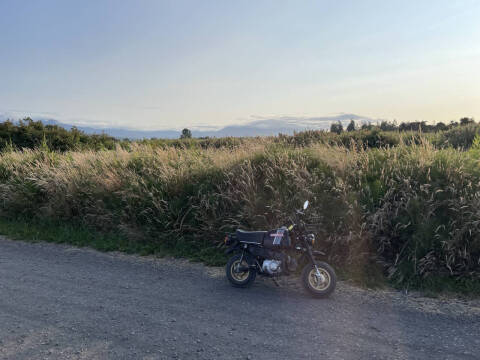 1983 Honda Gorilla