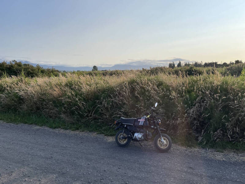 1983 Honda Gorilla